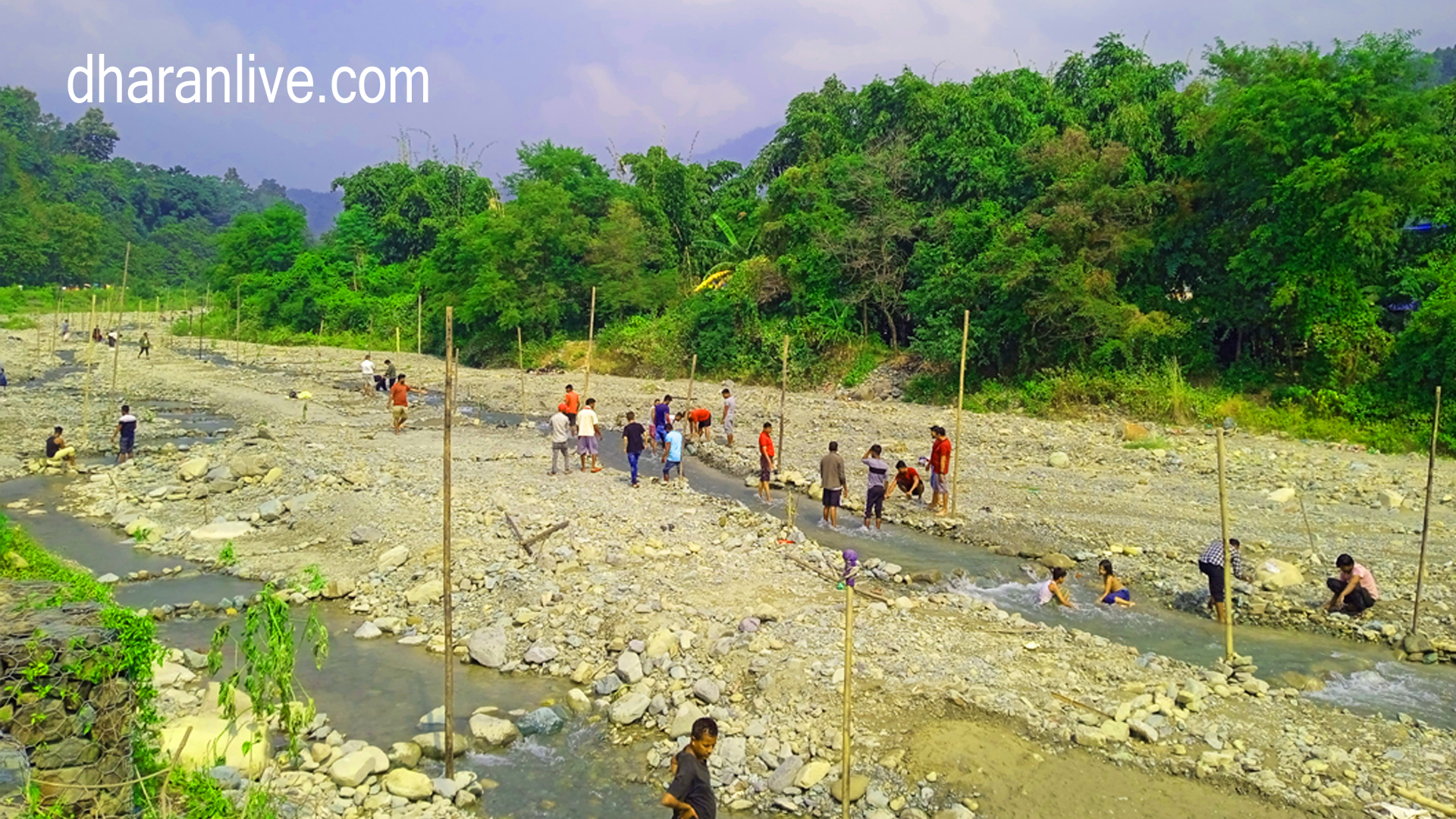 chhath photo dharan live 2