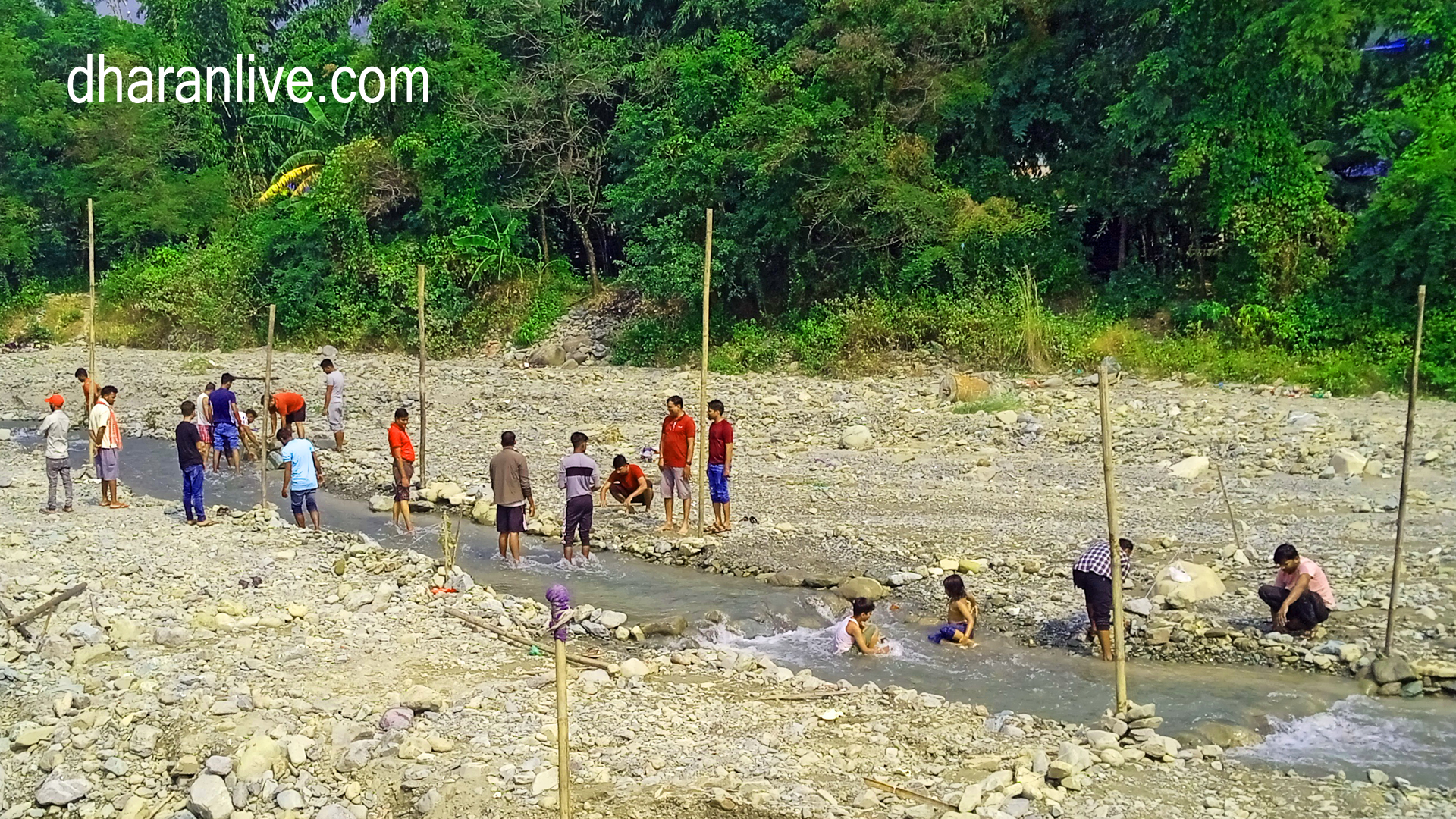 chhath photo dharan live 3