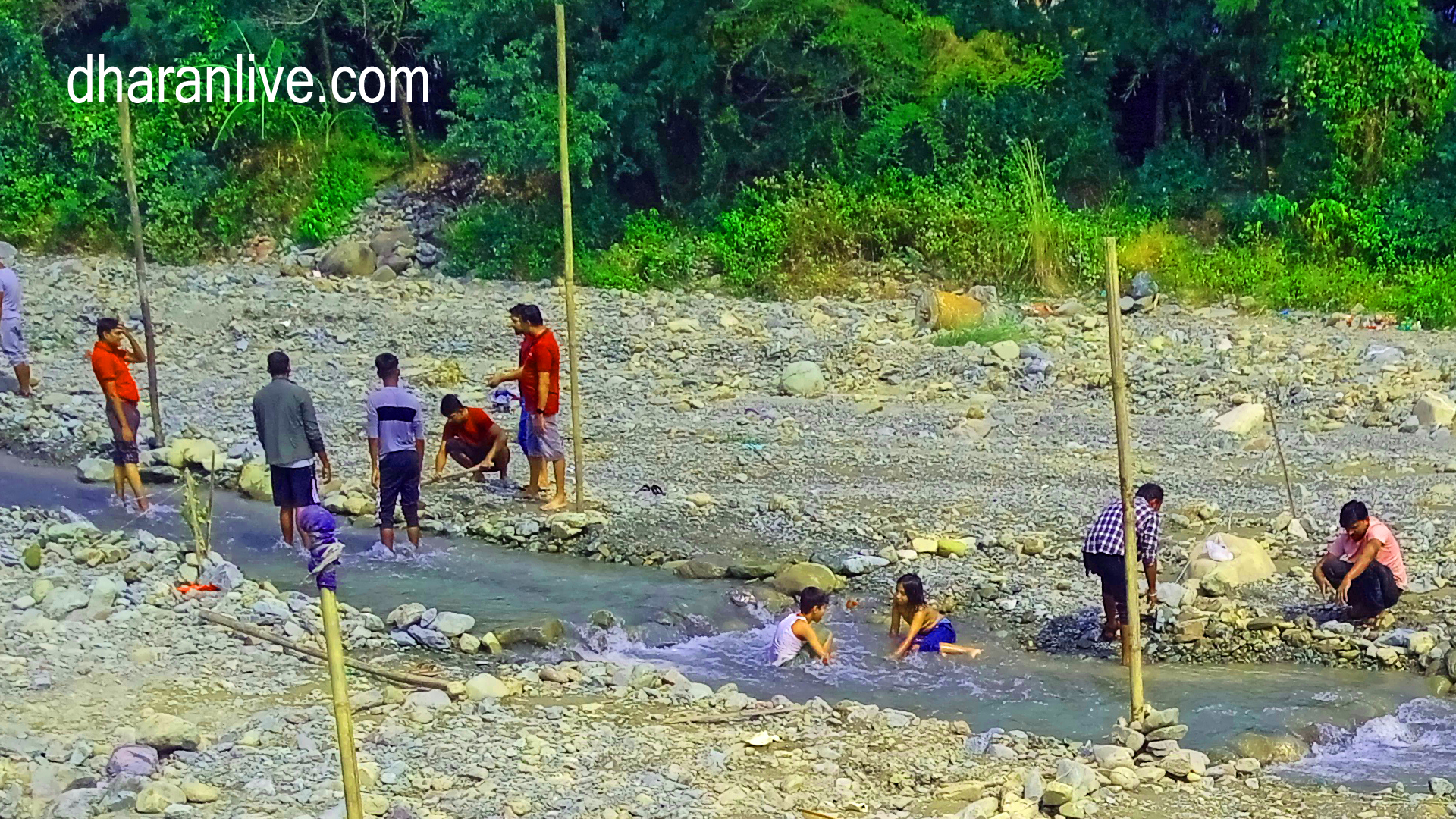 chhath photo dharan live 4